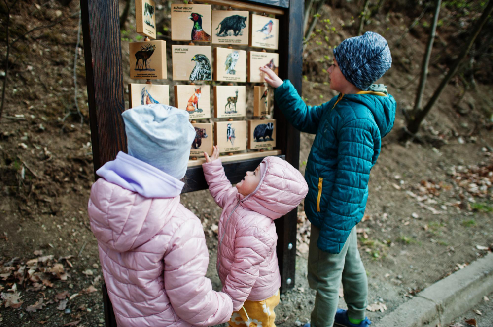 Au zoo, les enfants apprennent à connaître les oiseaux