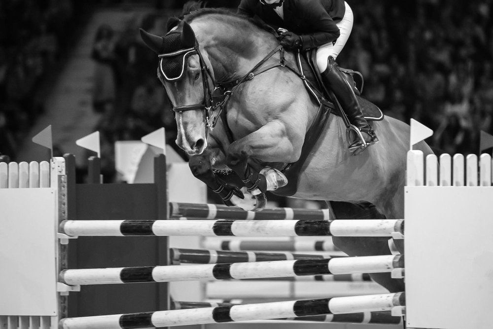 Saut d'obstacles en noir et blanc